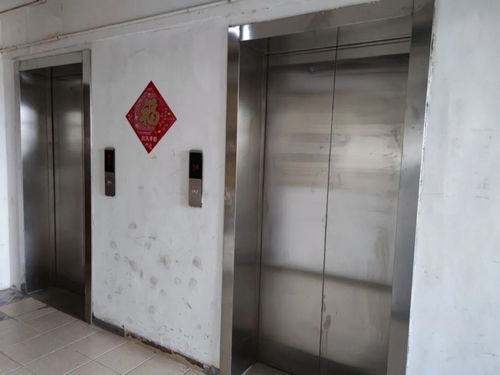 老旧小区加装电梯遇难题？杨浦这个街道的自治项目让居民生活实现“一键直达”便利人生
